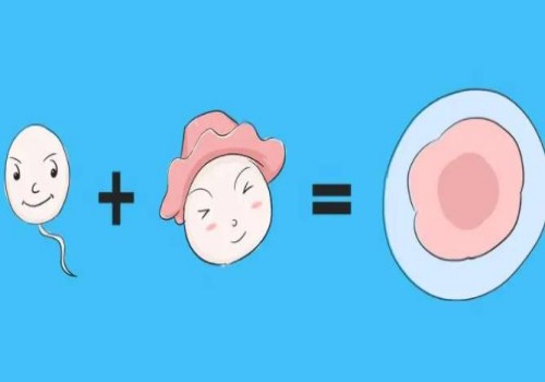 杭州供卵代生：﻿女性有多少个基础卵泡才算正常