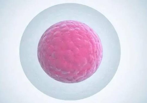 杭州代怀生男孩价格：﻿巧克力囊肿会导致备孕失败吗？需要注意的事项有哪些？
