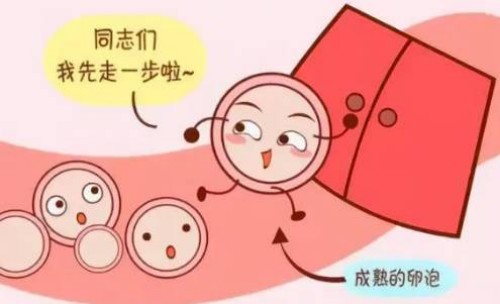 杭州代怀生子机构：﻿孕妇适用的食疗止咳方法分享，值得阅读收藏