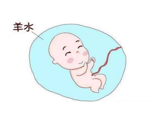 杭州代生中心：﻿自然周期取卵对卵巢有害？问题不大