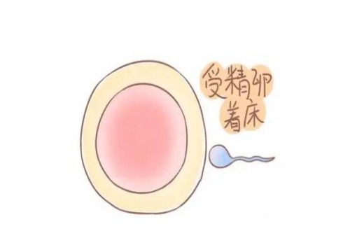 杭州供精代生：﻿黄河三门峡医院试管婴儿医疗团队介绍，内附成功率及其费用明细！